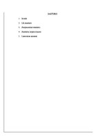 Konspekts 'Standarti informāciju tehnoloģiju jomā', 2.