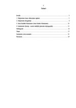 Referāts 'Arno Rafaēla Minkinena mākslinieciskās izteiksmes dažādība pašportreta fotogrāfi', 2.