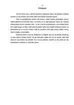 Referāts 'Arno Rafaēla Minkinena mākslinieciskās izteiksmes dažādība pašportreta fotogrāfi', 16.