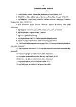 Referāts 'Arno Rafaēla Minkinena mākslinieciskās izteiksmes dažādība pašportreta fotogrāfi', 18.