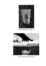 Referāts 'Arno Rafaēla Minkinena mākslinieciskās izteiksmes dažādība pašportreta fotogrāfi', 20.