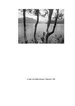 Referāts 'Arno Rafaēla Minkinena mākslinieciskās izteiksmes dažādība pašportreta fotogrāfi', 24.