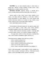 Konspekts 'Kultūras definīcijas', 1.