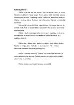 Konspekts 'Kultūras definīcijas', 4.