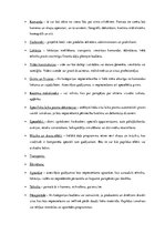 Konspekts 'Kopsavilkums par producenta darbu', 5.