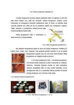 Konspekts 'Hologrāfija', 7.