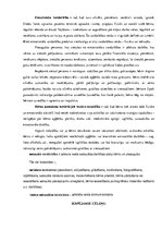 Eseja 'Vardarbība', 2.