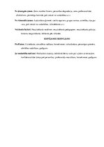 Eseja 'Vardarbība', 3.