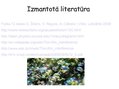 Prezentācija 'Interference plānās kārtiņās, dzidrinātā optika', 17.