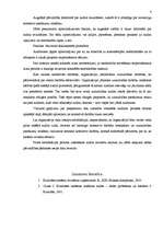 Konspekts 'Iekšēja audita organizēšana', 4.