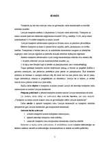 Referāts 'Transporta loma Latvijas ekonomikā', 3.