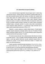 Referāts 'Transporta loma Latvijas ekonomikā', 24.