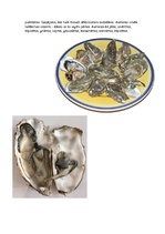 Konspekts 'Austeres', 3.