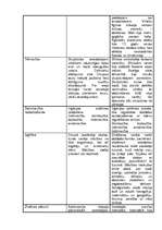 Konspekts 'Senās Divupes un Senās Ēģiptes kultūru salīdzinājums', 4.