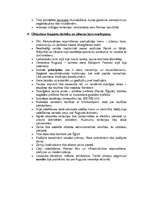 Konspekts 'Pilsoņu karu laikmets Romā', 3.