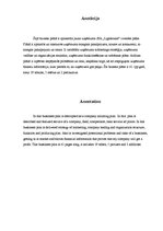 Biznesa plāns 'Biznesa plāns SIA "Lightsound"', 2.