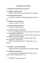 Biznesa plāns 'Biznesa plāns SIA "Lightsound"', 7.