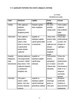 Biznesa plāns 'Biznesa plāns SIA "Lightsound"', 11.