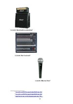 Biznesa plāns 'Biznesa plāns SIA "Lightsound"', 15.