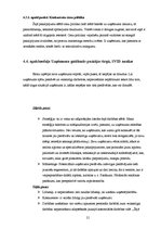 Biznesa plāns 'Biznesa plāns SIA "Lightsound"', 21.