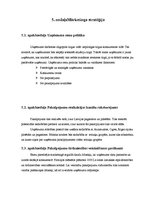 Biznesa plāns 'Biznesa plāns SIA "Lightsound"', 23.