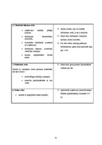 Biznesa plāns 'Biznesa plāns SIA "Lightsound"', 28.