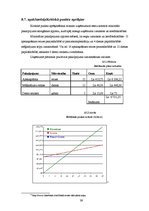 Biznesa plāns 'Biznesa plāns SIA "Lightsound"', 39.