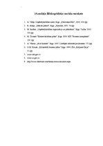 Biznesa plāns 'Biznesa plāns SIA "Lightsound"', 42.