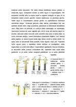 Referāts 'Nafta', 5.