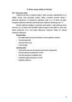 Referāts 'Kursa projekts lauku tūrismā', 14.