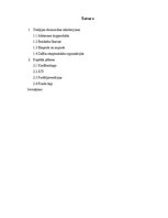 Referāts 'Kapitāla kustība Grieķijā', 2.