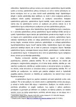 Eseja 'Vispārējās civiltiesiskās atbildības apdrošināšana', 3.