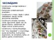 Prezentācija 'Prakses atskaite uzņēmumā "Viss šokolādē" prezentācija', 15.