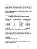 Biznesa plāns 'Mūzikas ierakstu veikals "Anita"', 5.