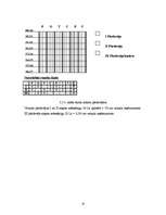 Biznesa plāns 'Mūzikas ierakstu veikals "Anita"', 8.