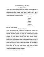 Biznesa plāns 'Mūzikas ierakstu veikals "Anita"', 12.