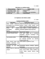 Biznesa plāns 'Mūzikas ierakstu veikals "Anita"', 19.