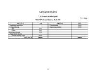 Biznesa plāns 'Mūzikas ierakstu veikals "Anita"', 21.