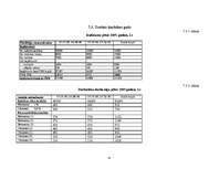 Biznesa plāns 'Mūzikas ierakstu veikals "Anita"', 39.