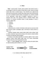 Diplomdarbs 'Cilvēkresursu vadība vienā no lielākajiem pārtikas ražošanas uzņēmumiem Latvijā', 17.