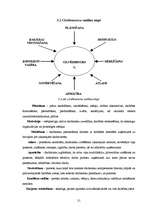 Diplomdarbs 'Cilvēkresursu vadība vienā no lielākajiem pārtikas ražošanas uzņēmumiem Latvijā', 18.