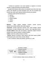 Diplomdarbs 'Cilvēkresursu vadība vienā no lielākajiem pārtikas ražošanas uzņēmumiem Latvijā', 30.