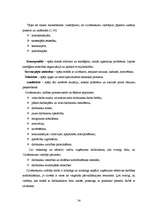 Diplomdarbs 'Cilvēkresursu vadība vienā no lielākajiem pārtikas ražošanas uzņēmumiem Latvijā', 31.