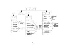 Diplomdarbs 'Cilvēkresursu vadība vienā no lielākajiem pārtikas ražošanas uzņēmumiem Latvijā', 51.