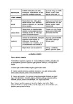 Konspekts 'Vitamīni', 2.