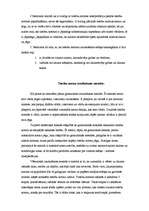 Eseja 'Tiesību normu iztulkošana: metožu salīdzināšana', 3.