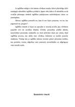 Referāts 'Tiesības uz izglītību', 9.