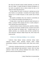 Referāts 'Uzņēmuma X biznesa modelis, struktūra un mārketinga stratēģija', 6.