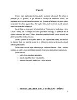 Referāts 'Džins', 1.