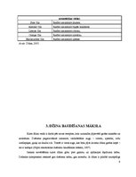 Referāts 'Džins', 7.